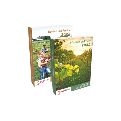 Wirz Set Handbücher 2024